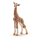 Girafa Cria