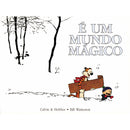 É um Mundo Mágico