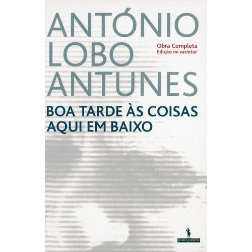 Boa Tarde às Coisas Aqui em Baixo de António Lobo Antunes