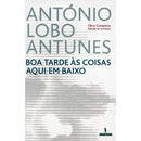 Boa Tarde às Coisas Aqui em Baixo de António Lobo Antunes