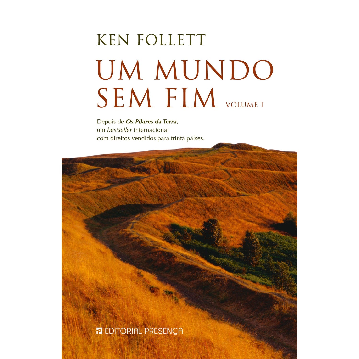 Um Mundo sem Fim - Volume I de Ken Follett