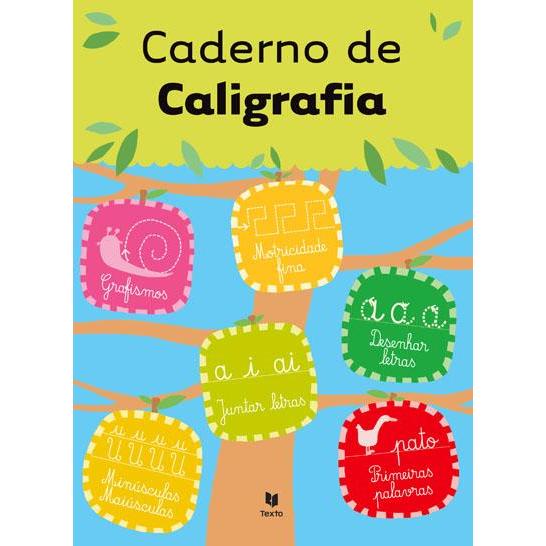 Caderno de Caligrafia de Manuel J. E. Santo Ferrão