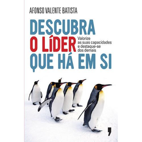 Descubra o Líder que há em Si de Afonso Batista Valente