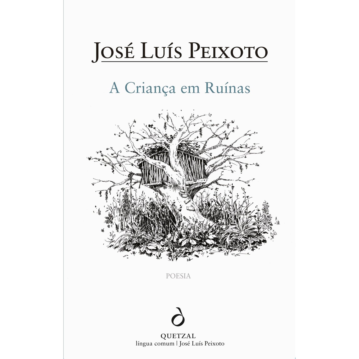 A Criança em Ruínas de José Luís Peixoto