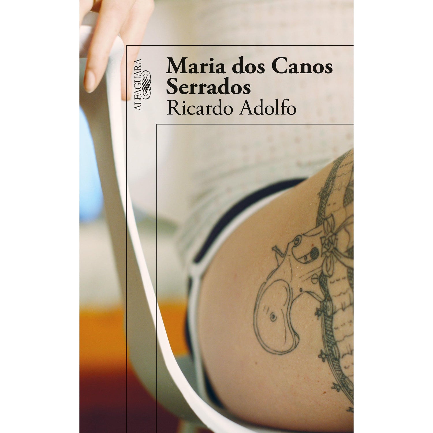 Maria dos Canos Serrados de Ricardo Adolfo