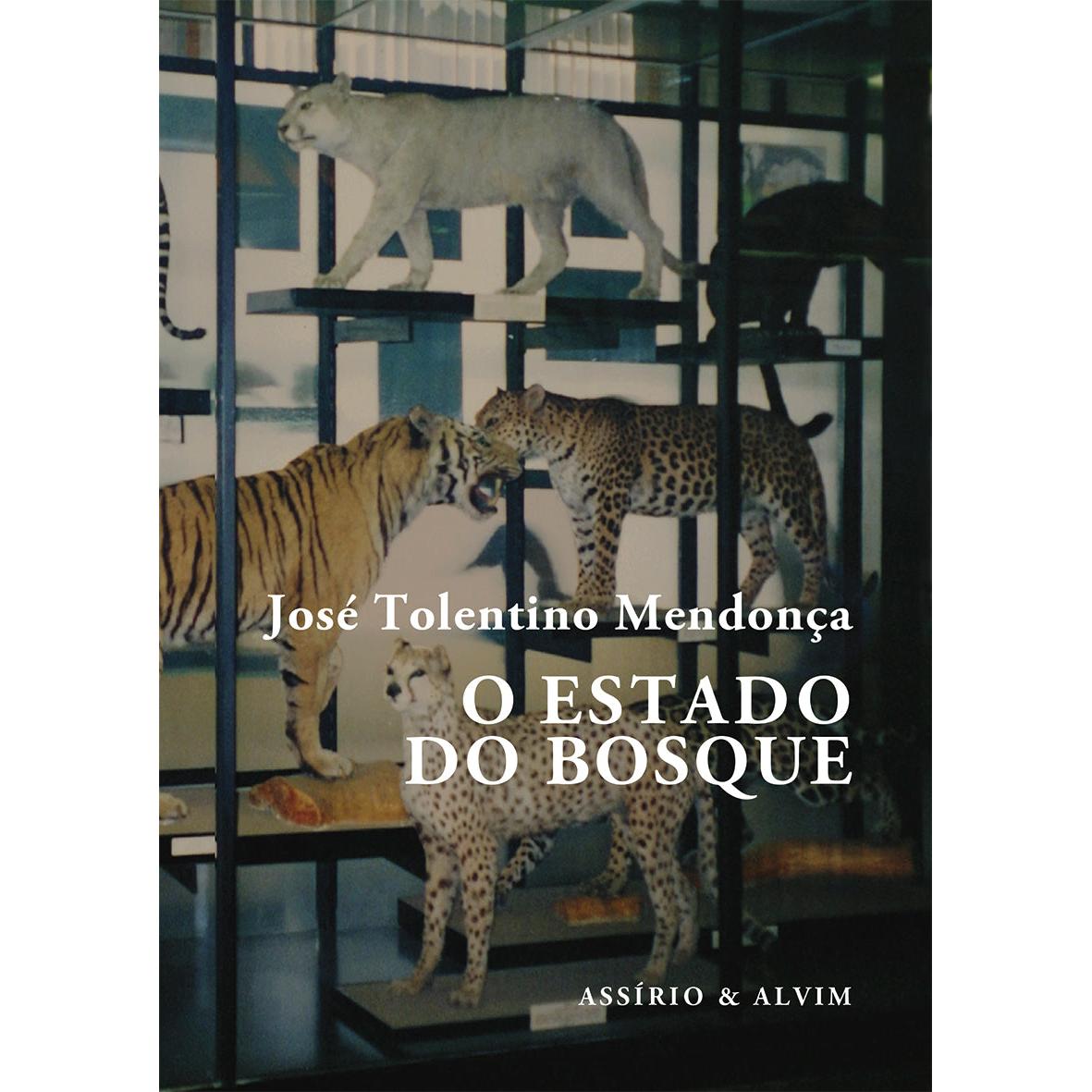 O Estado do Bosque de José Tolentino Mendonça