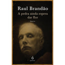 A Pedra ainda Espera Dar Flor - Dispersos de Raul Brandão