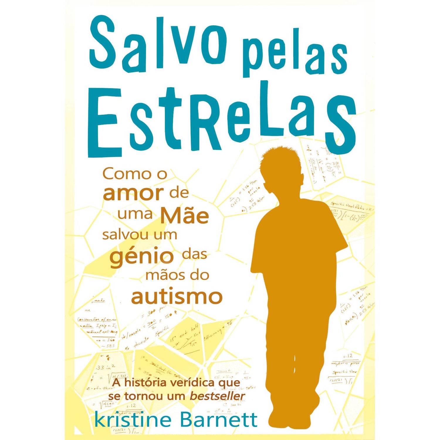 Salvo Pelas Estrelas de Kristine Barnett