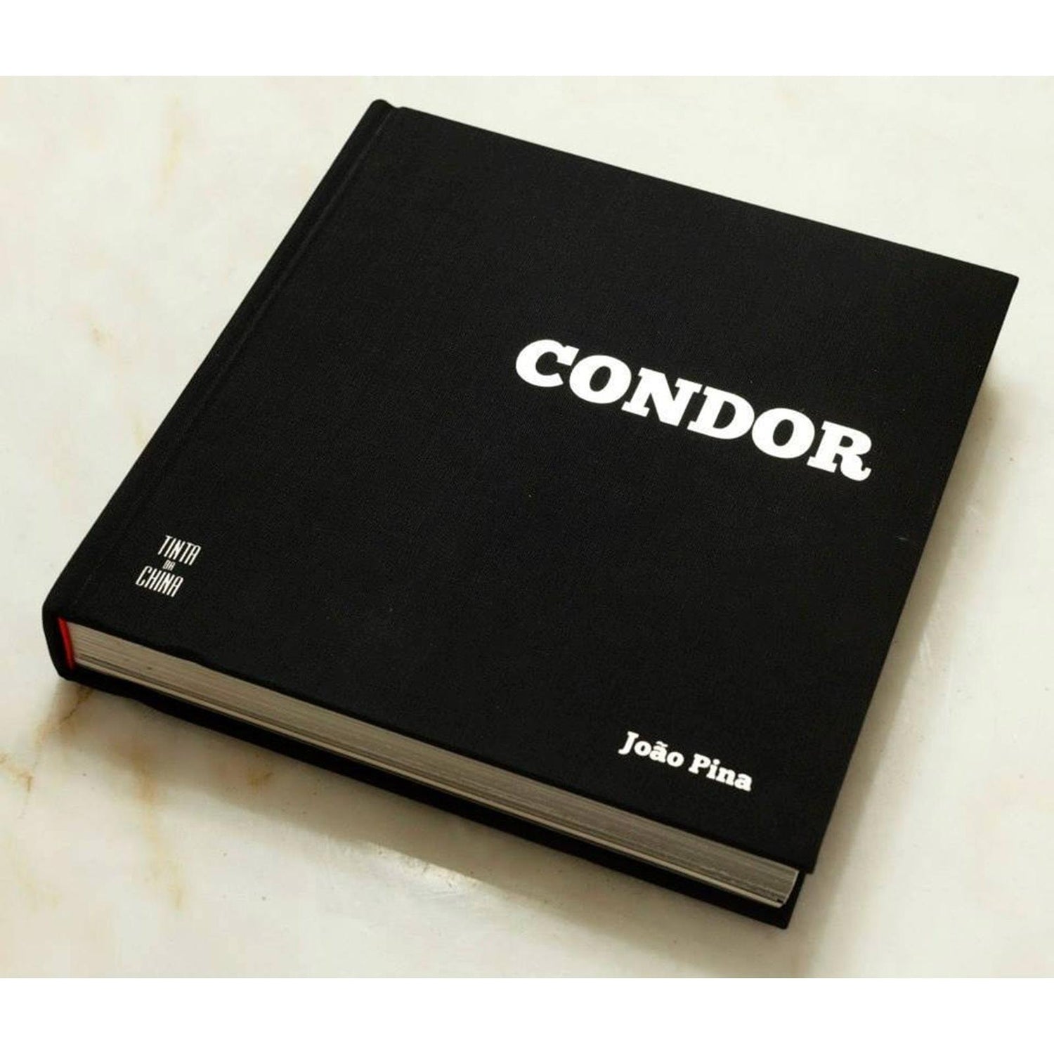Condor de João Pina