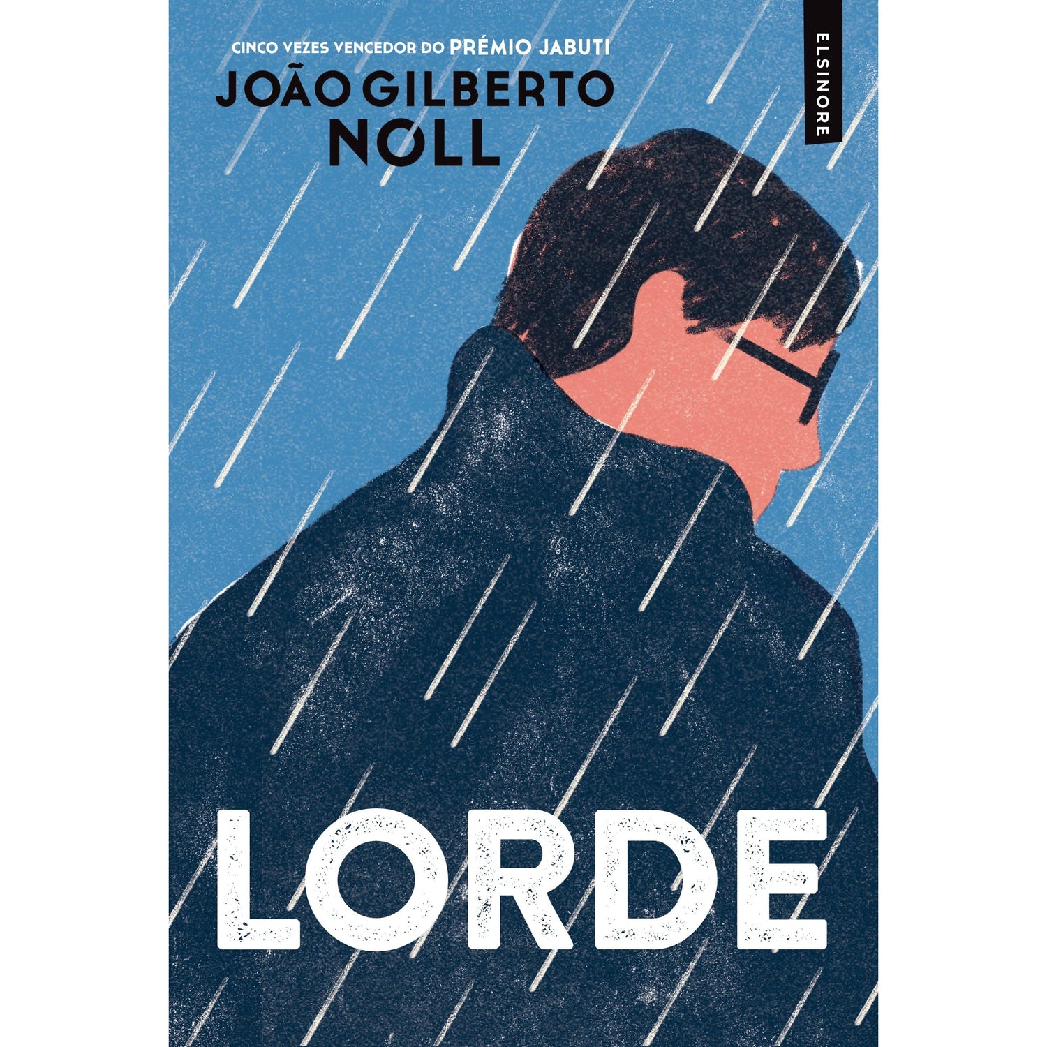 Lorde de João Gilberto Noll
