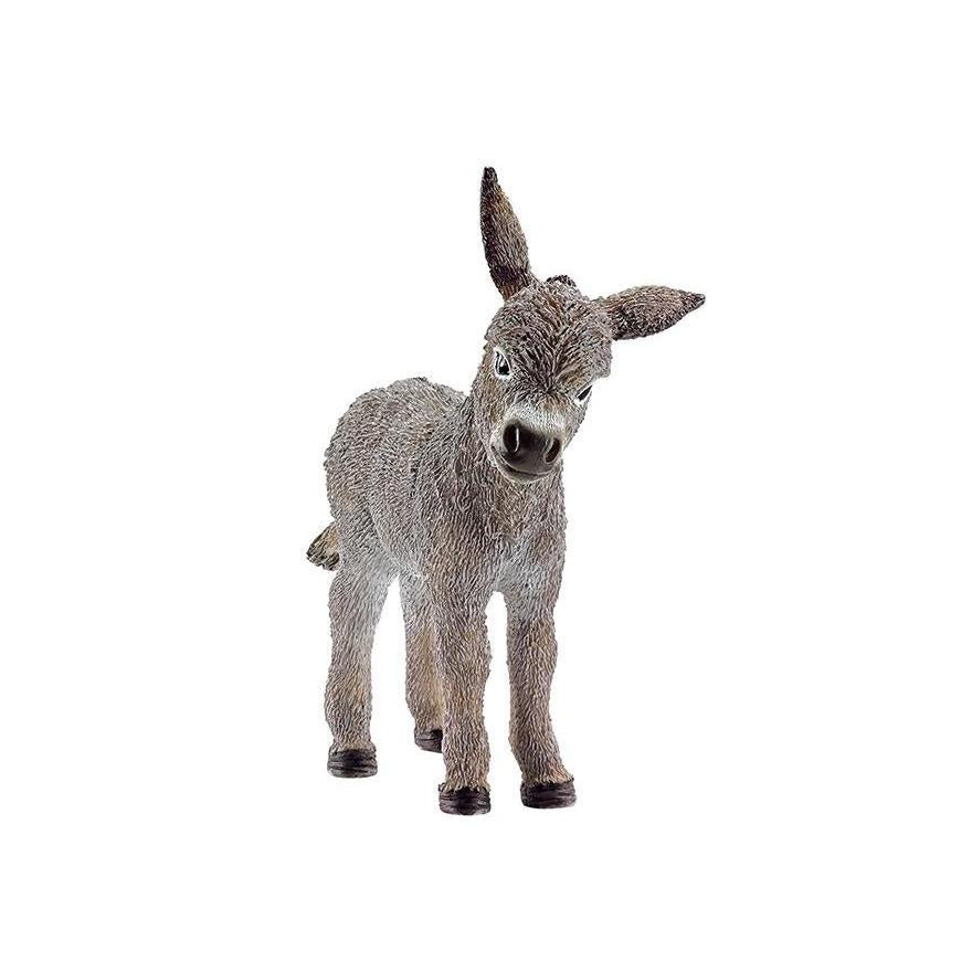 Burrinho Cria
