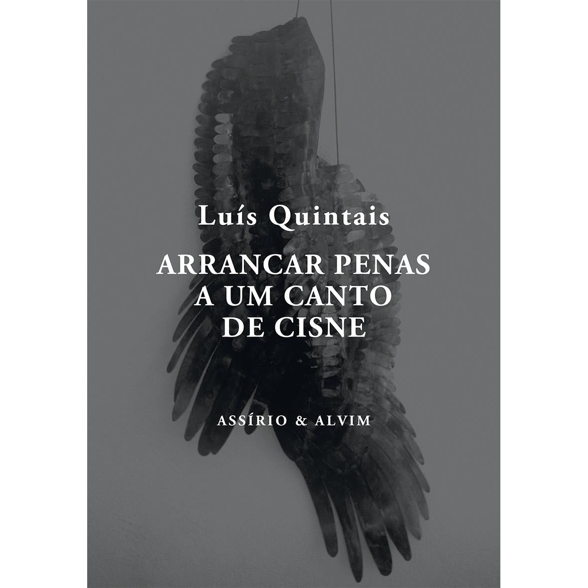 Arrancar Penas a um Canto de Cisne de Luís Quintais