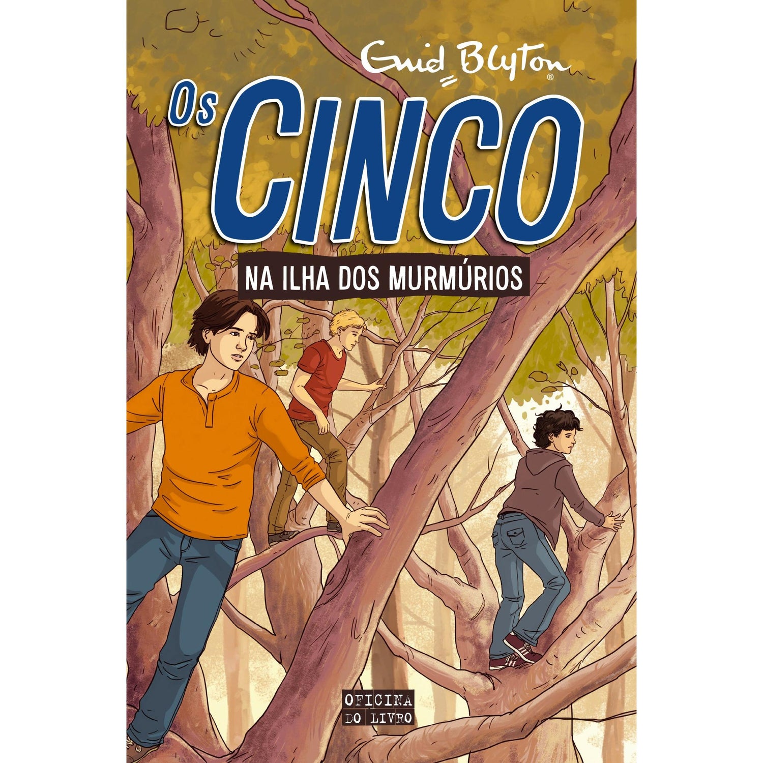 Os Cinco na Ilha dos Murmúrios de Enid Blyton - Volume 20