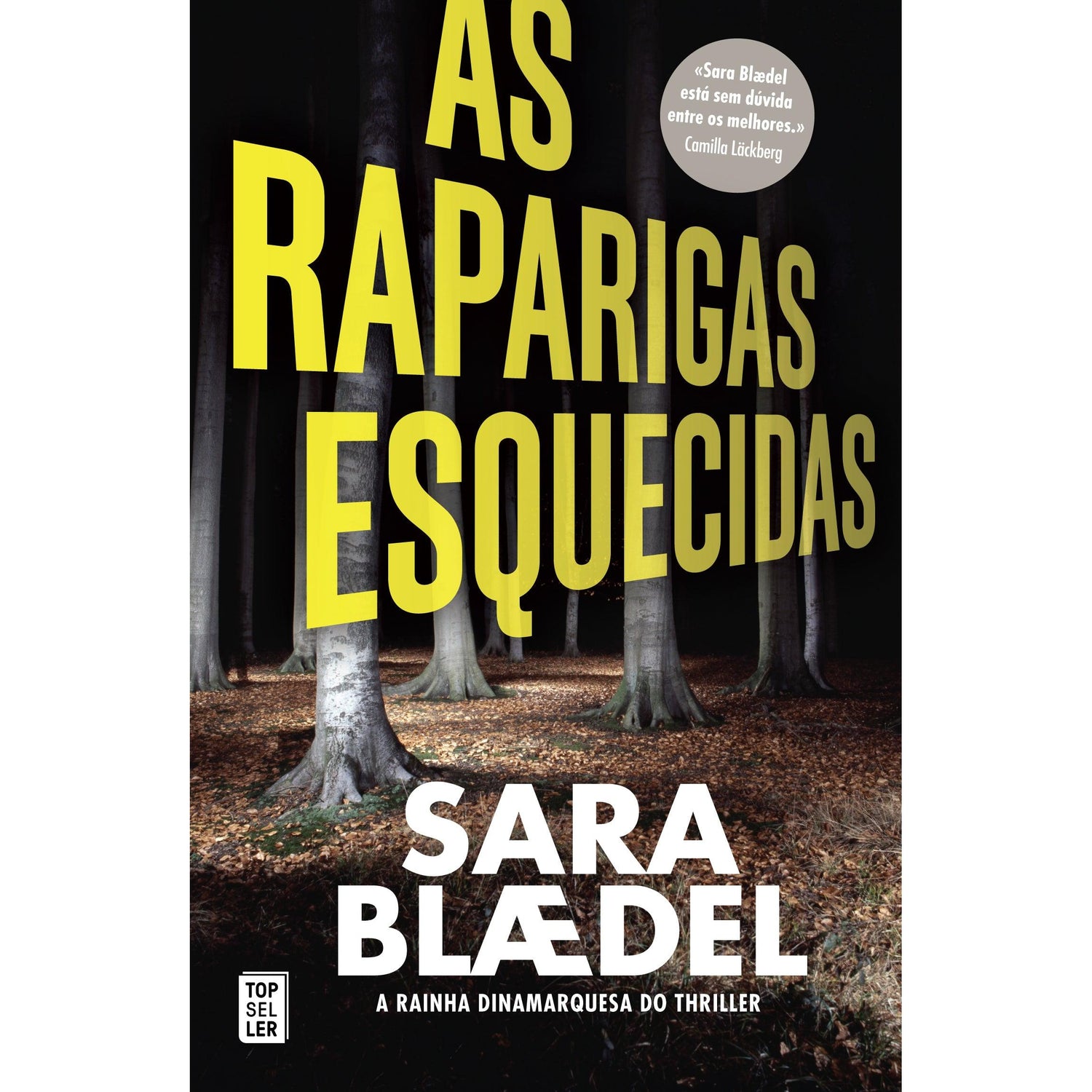 As Raparigas Esquecidas de Sara Blædel