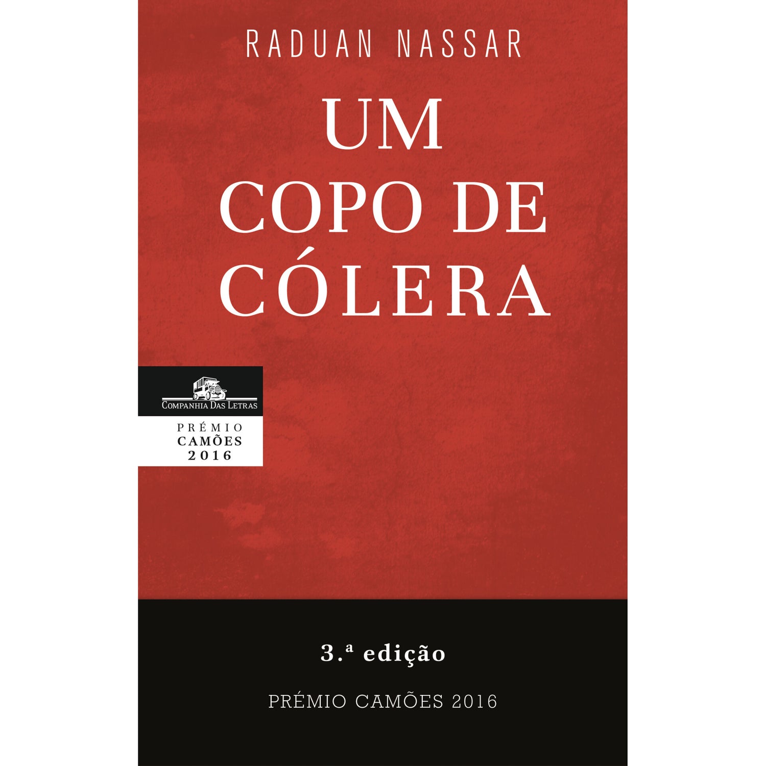 Um Copo de Cólera de Raduan Nassar
