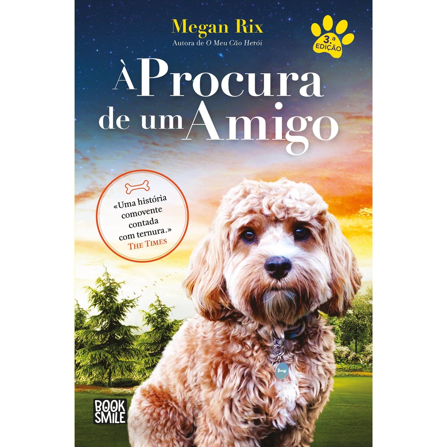 À Procura de um Amigo de Megan Rix