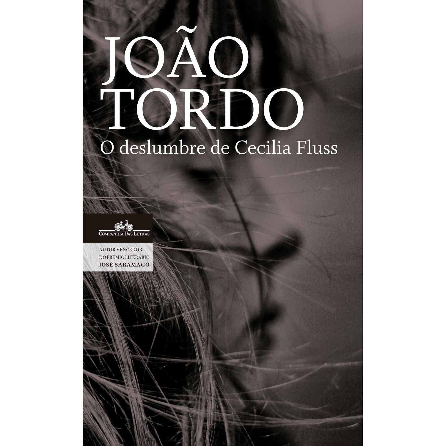 O Deslumbre de Cecilia Fluss de João Tordo