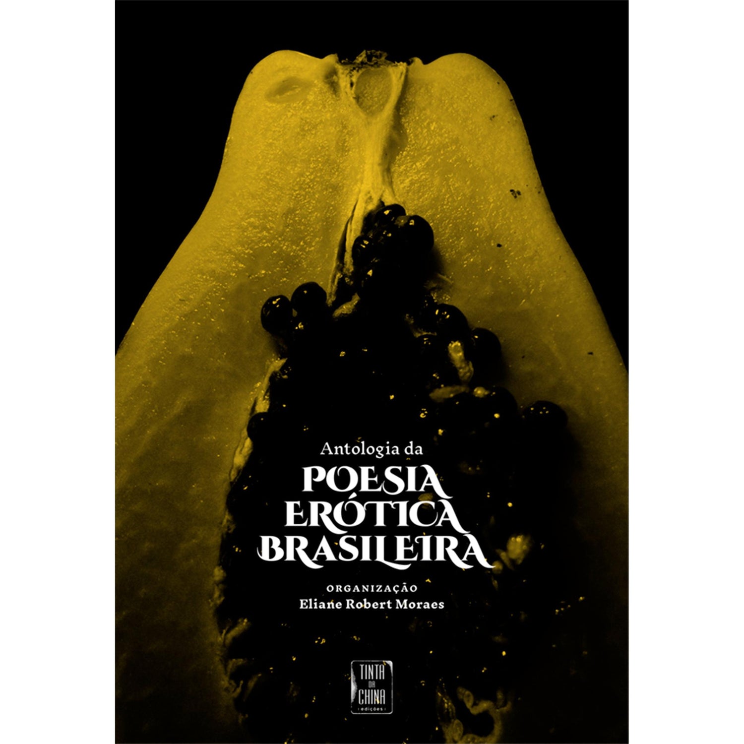 Antologia da Poesia Erótica Brasileira de Eliane Robert Moraes