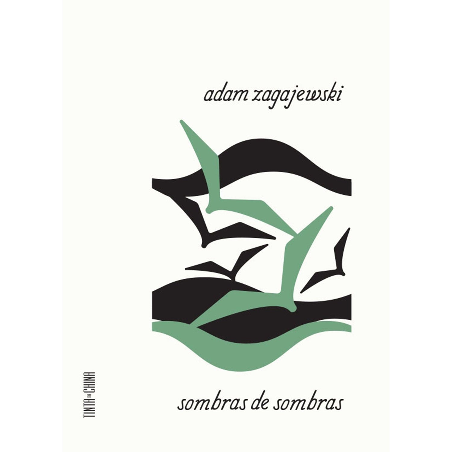 Sombras de Sombras de Adam Zagajewski