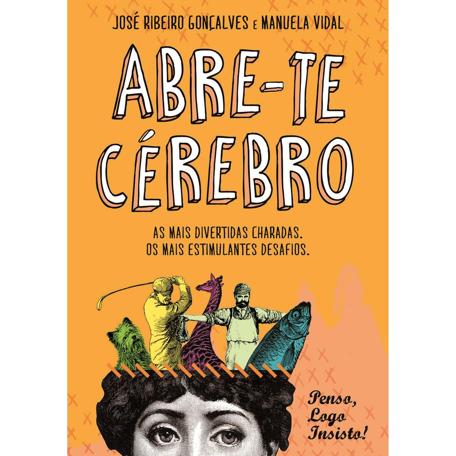 Abre-te Cérebro de José Ribeiro Gonçalves