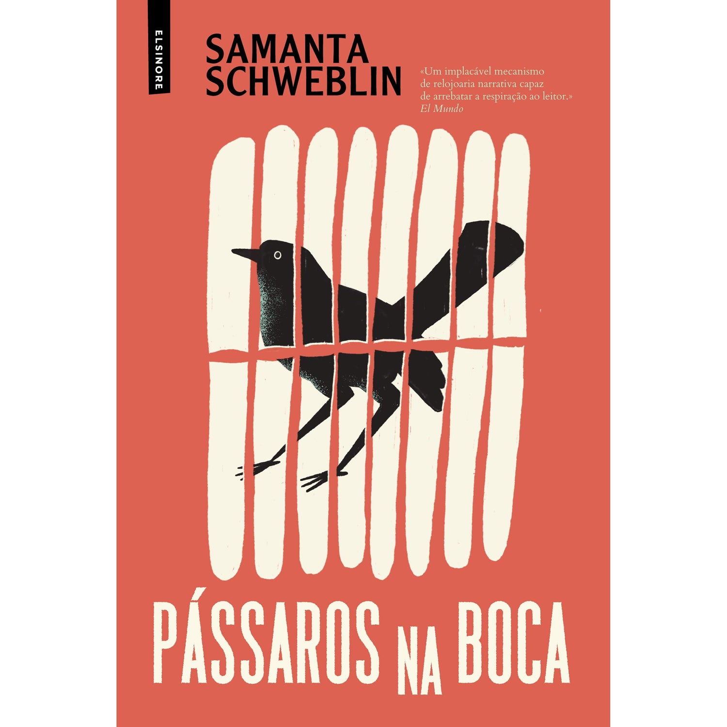 Pássaros na Boca de Samanta Schweblin