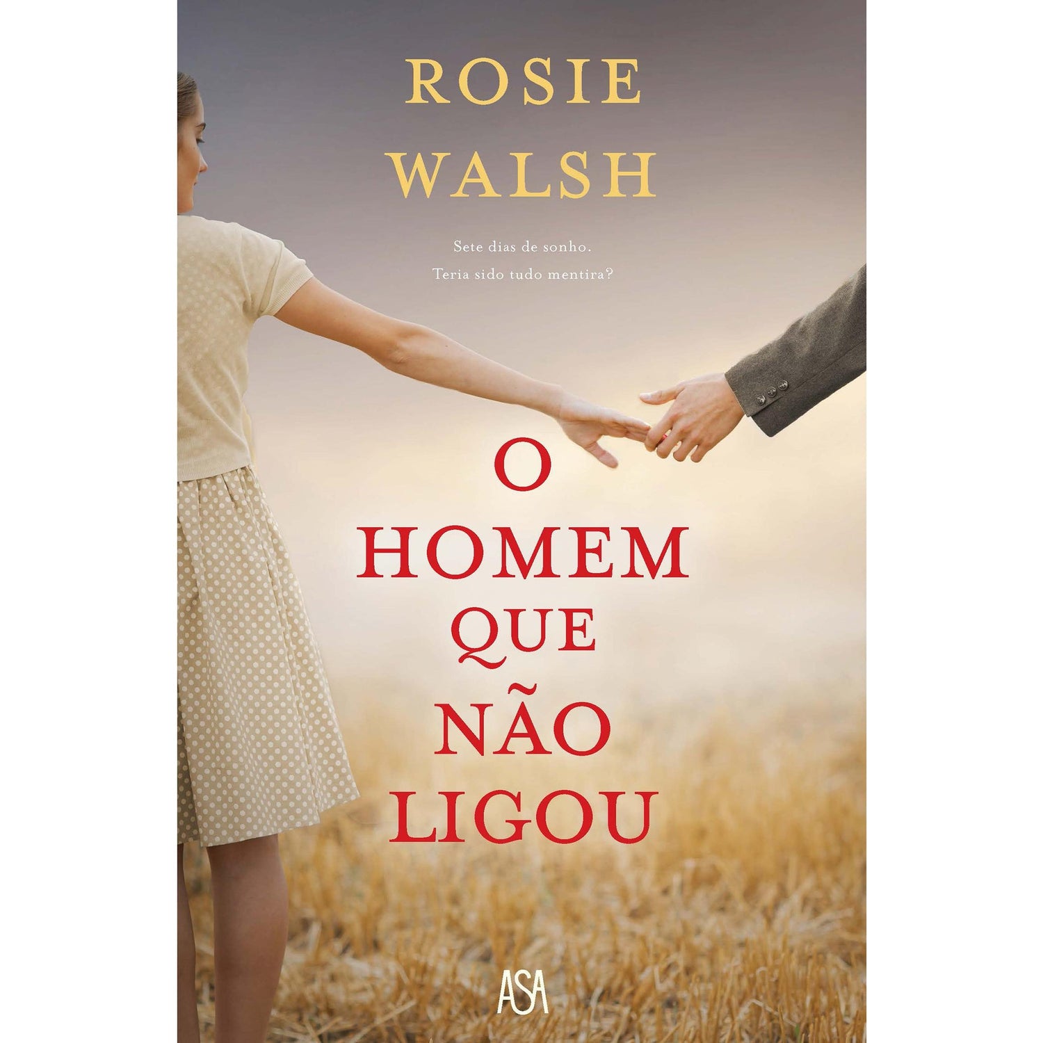 O Homem que Não Ligou de Rosie Walsh