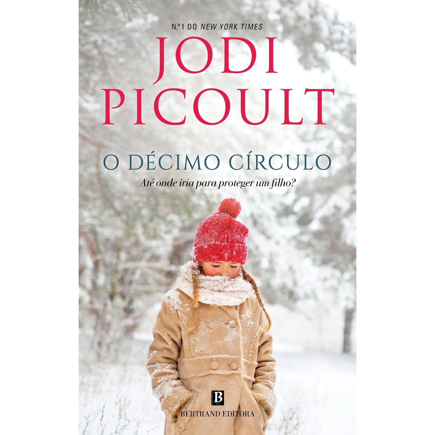 O Décimo Círculo de Jodi Picoult