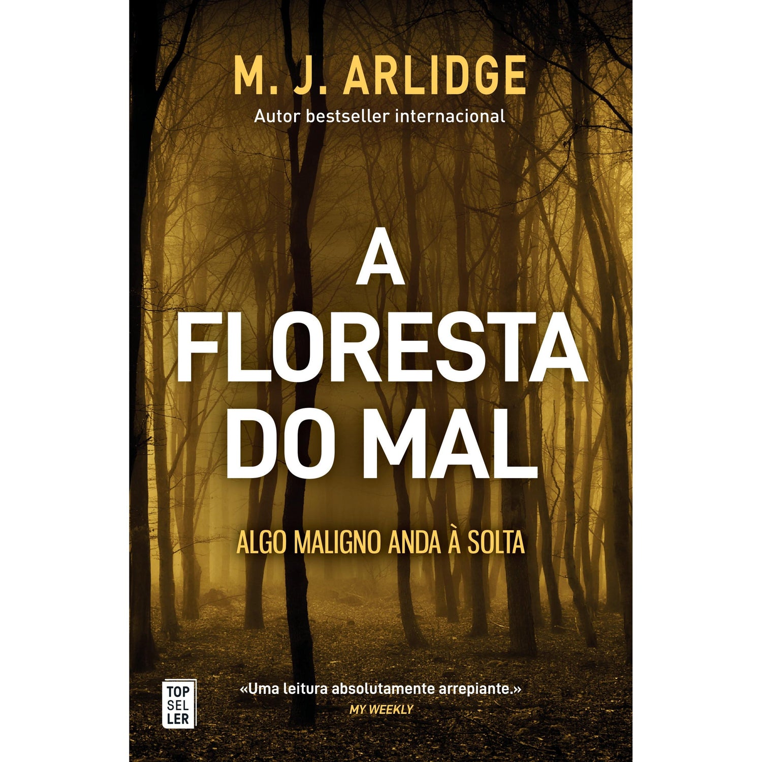 A Floresta do Mal de M. J. Arlidge - Helen Grace - Livro 8