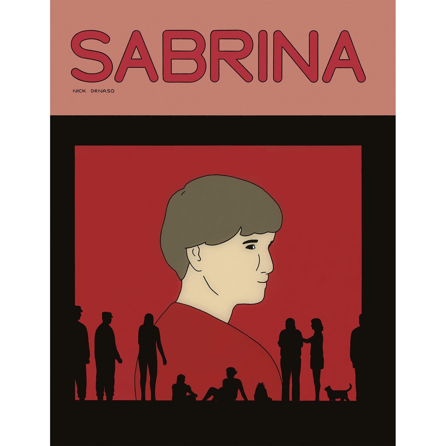 Sabrina de Nick Drnaso
