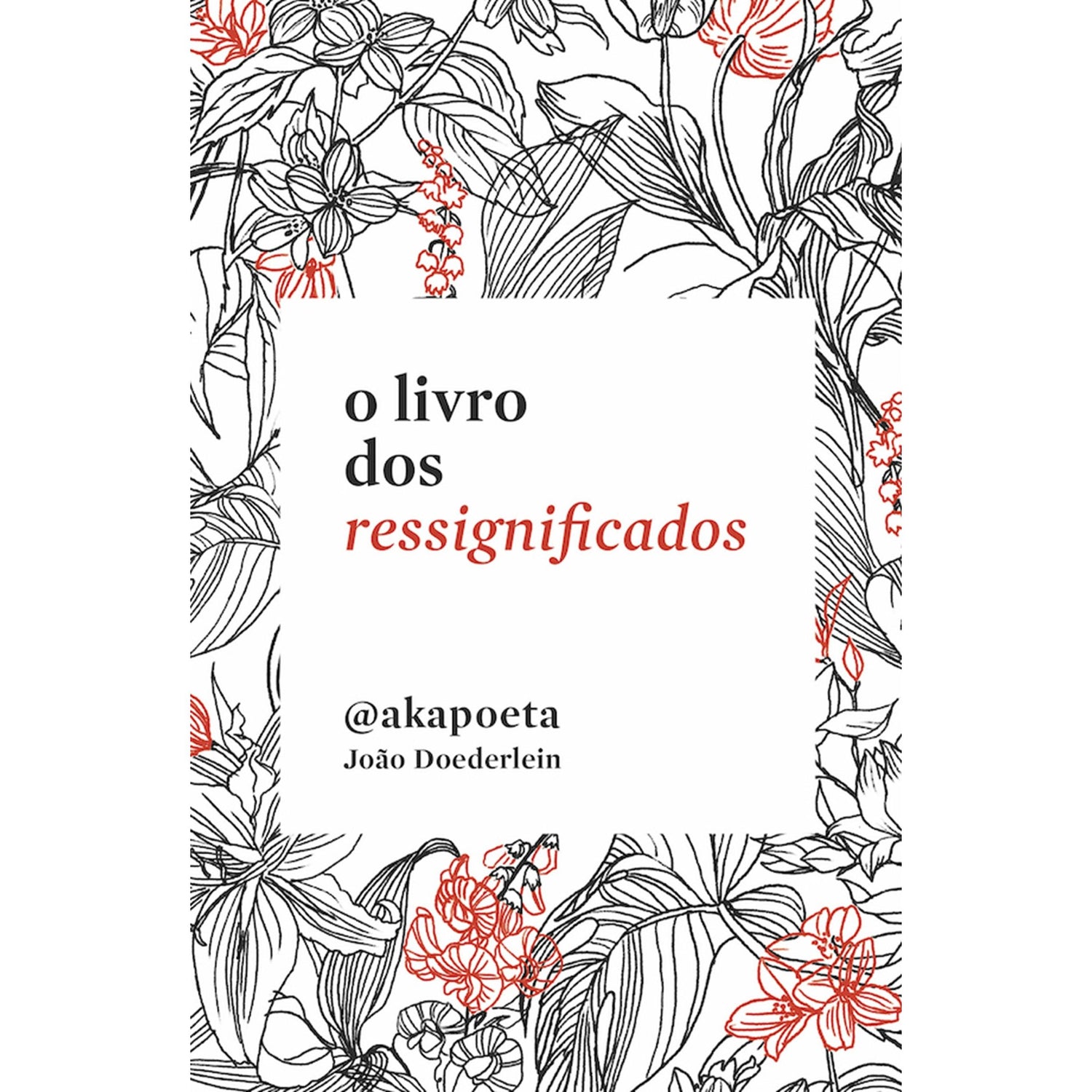 O Livro dos Ressignificados de Akapoeta (João Doederlein)