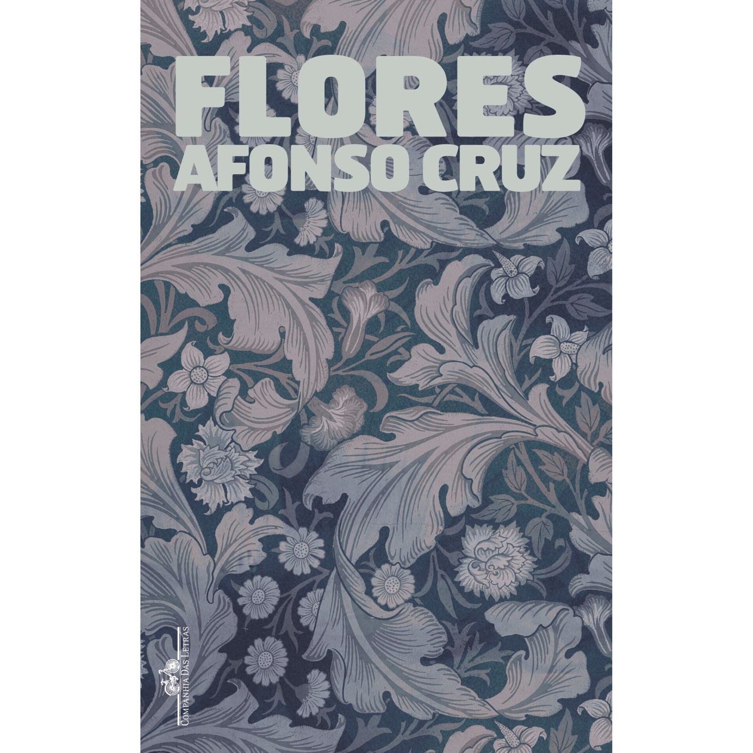 Flores de Afonso Cruz
