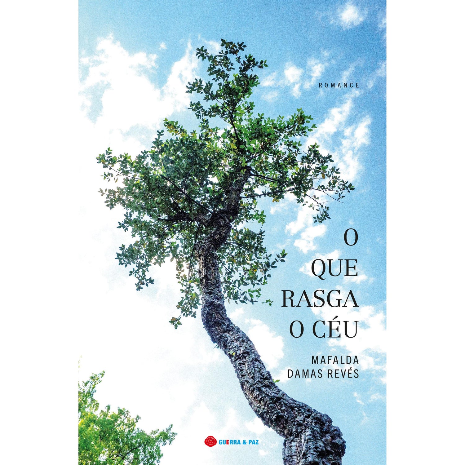 O que Rasga o Céu de Mafalda Damas Revés