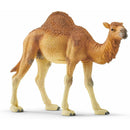 Dromedário Schleich
