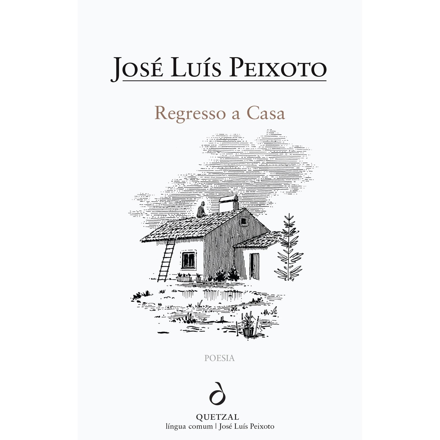 Regresso a Casa de José Luís Peixoto