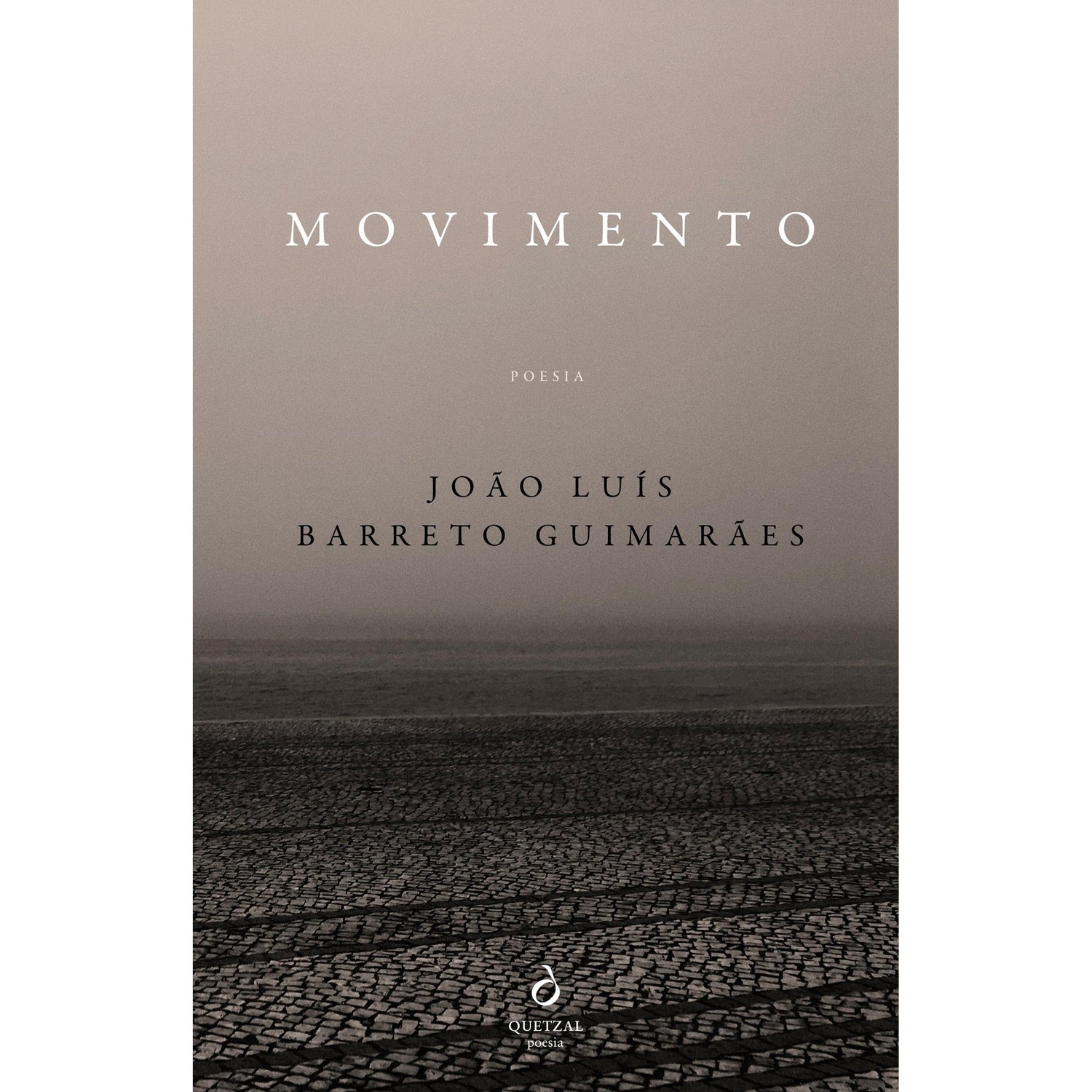 Movimento de João Luís Barreto Guimarães