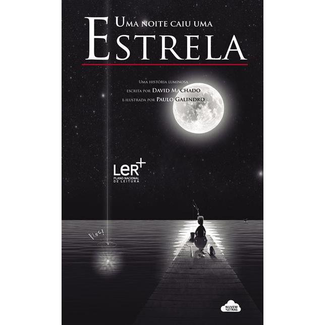 Uma Noite Caiu uma Estrela de David Machado