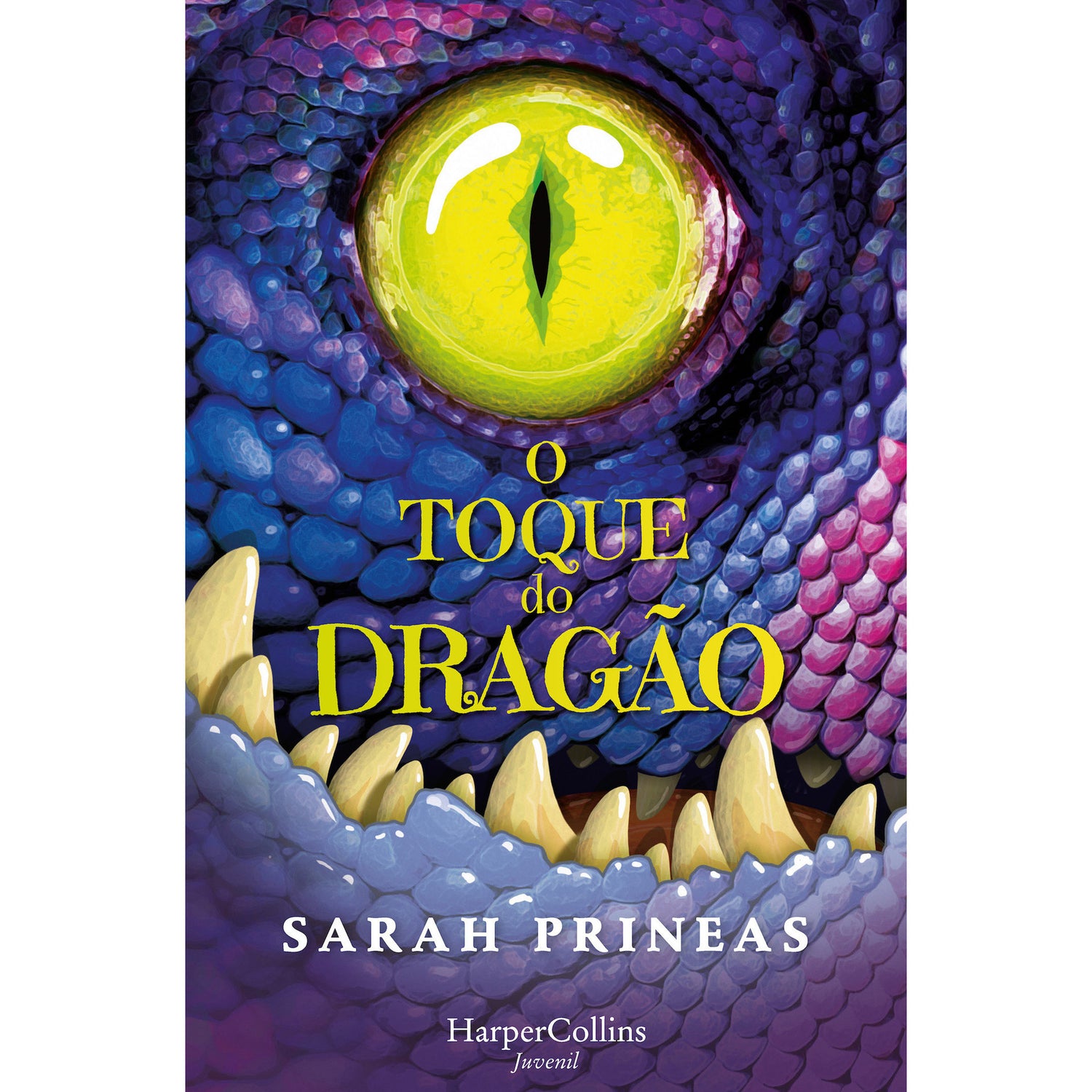 O Toque do Dragão de Sarah Prineas