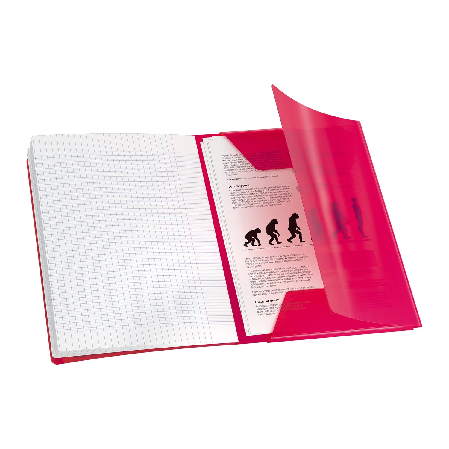 Caderno Agrafado A4 Quadriculado (várias cores)