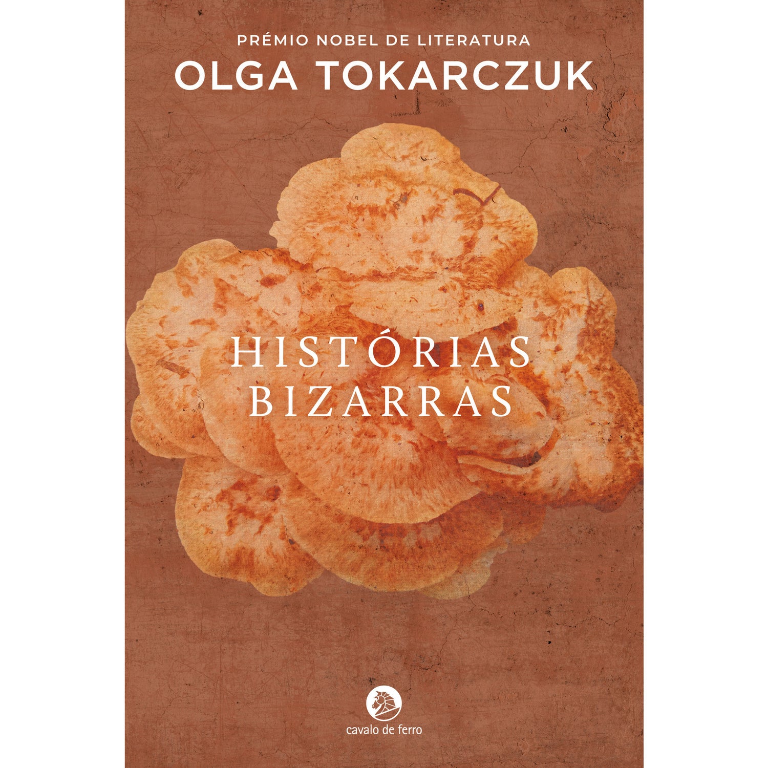 Histórias Bizarras de Olga Tokarczuk