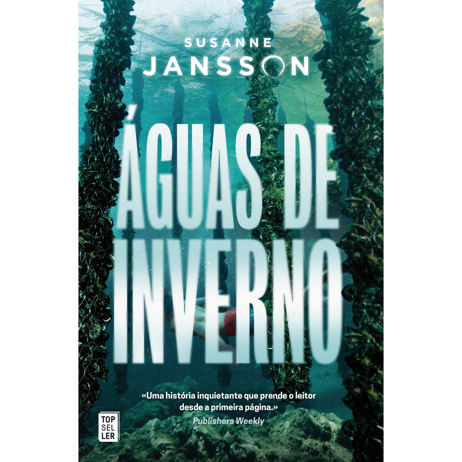 Águas de Inverno de Susanne Jansson de Susanne Jansson