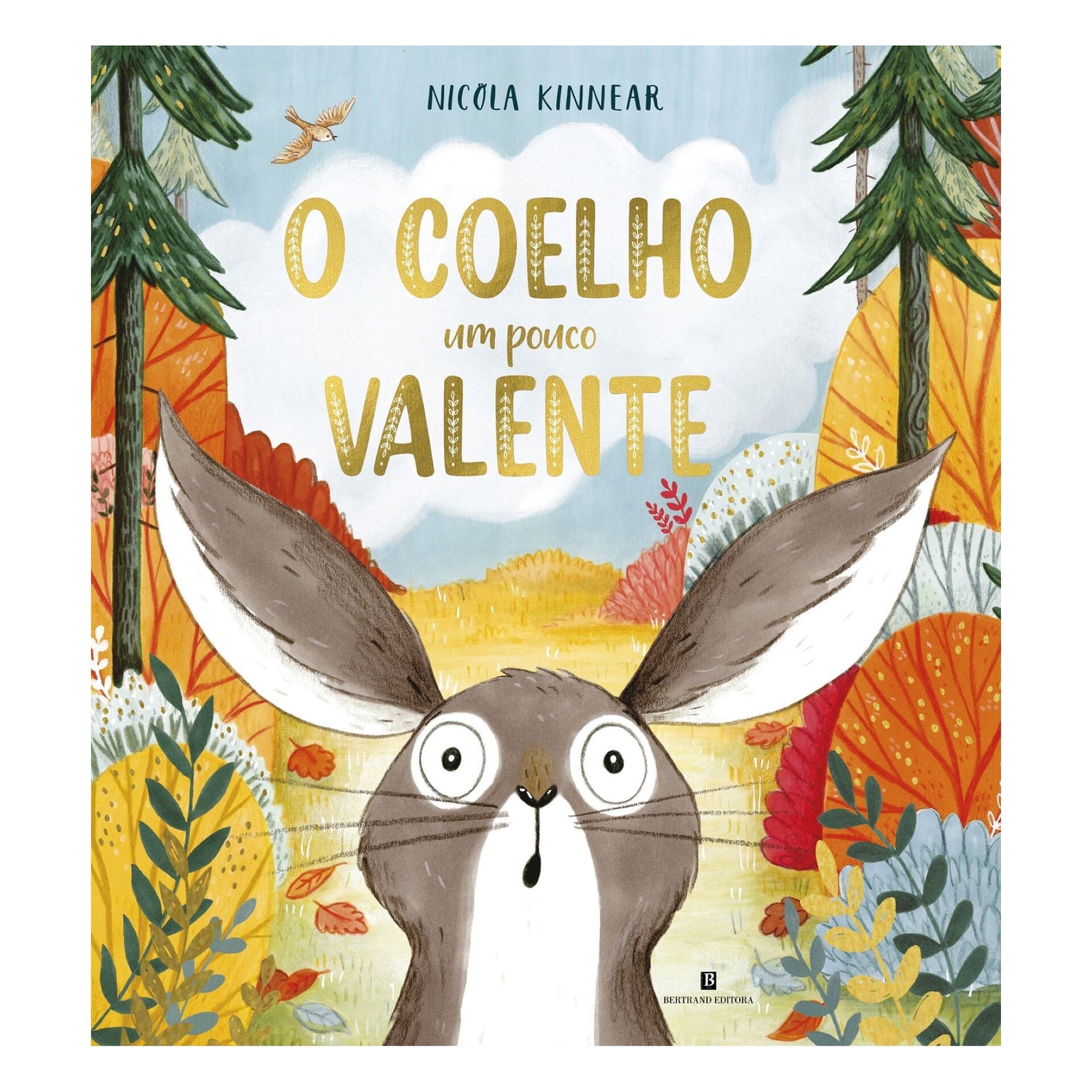 O Coelho Um Pouco Valente de Nicola Kinnear
