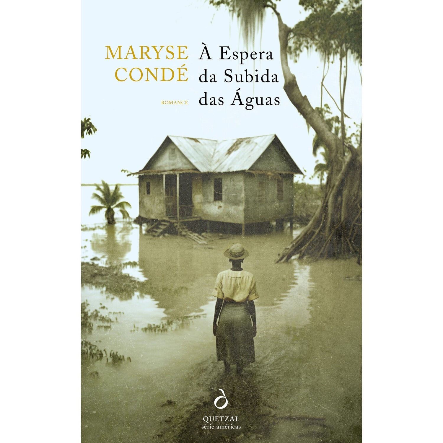 À Espera Da Subida Das Águas de Maryse Condé