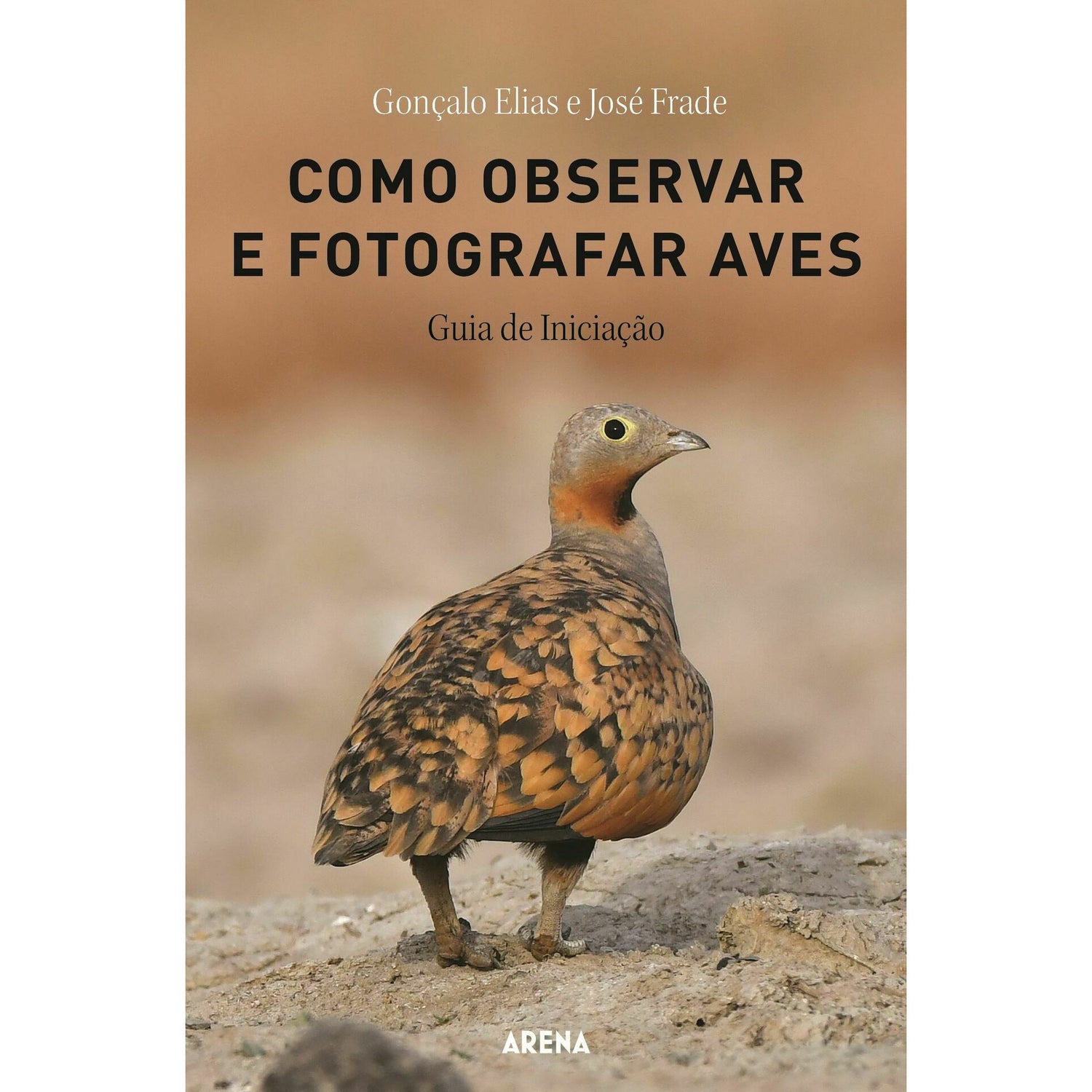 Como Observar e Fotografar Aves