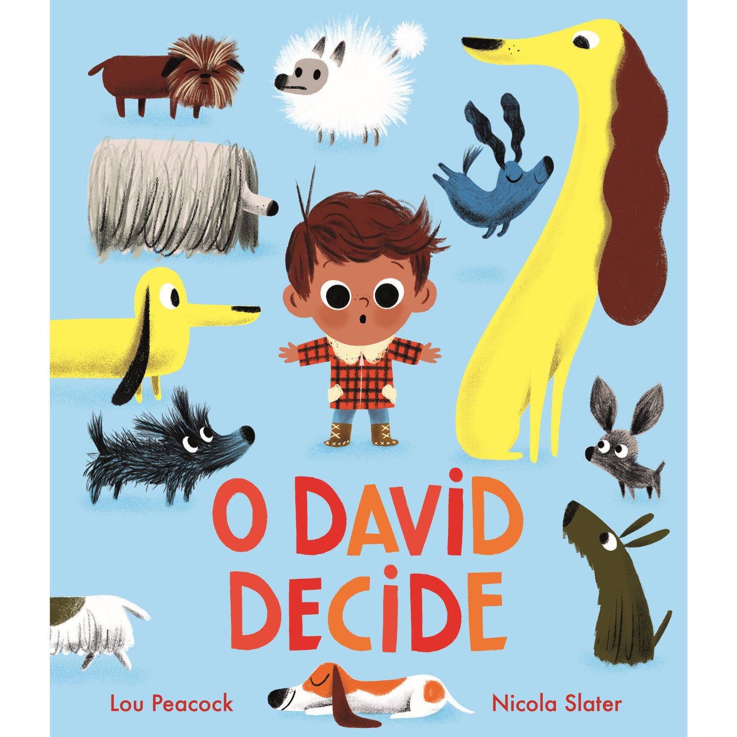 O David Decide de Lou Peacock
