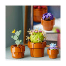 LEGO Botanicals - Plantas em Miniatura - 10329