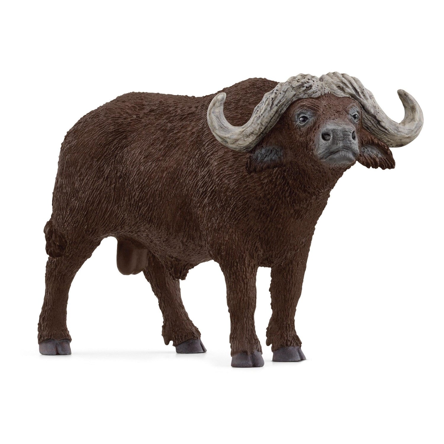 Schleich - Búfalo Africano