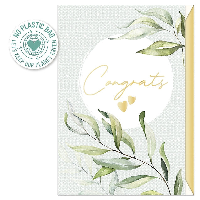 Postal - Congrats