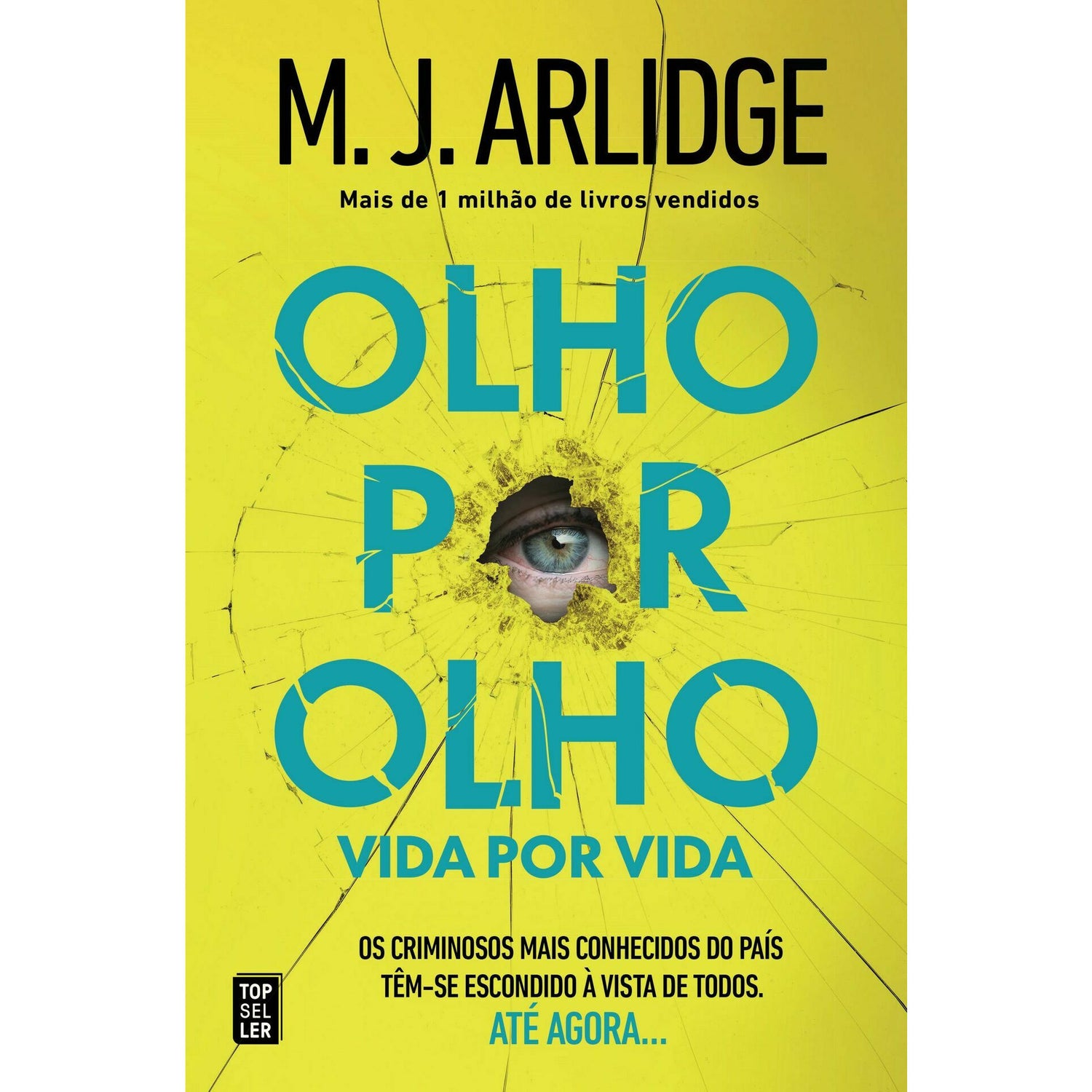 Olho por Olho. Vida por Vida. de M.J. Arlidge
