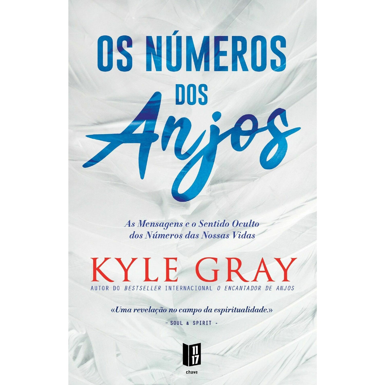 Os Números dos Anjos de Kyle Gray