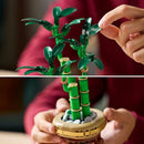 LEGO Botanicals - Bambu da Sorte - 10344